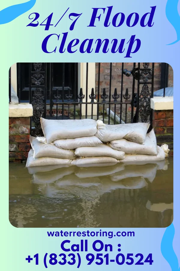 24/7 Flood Cleanup in Cadiz, IN