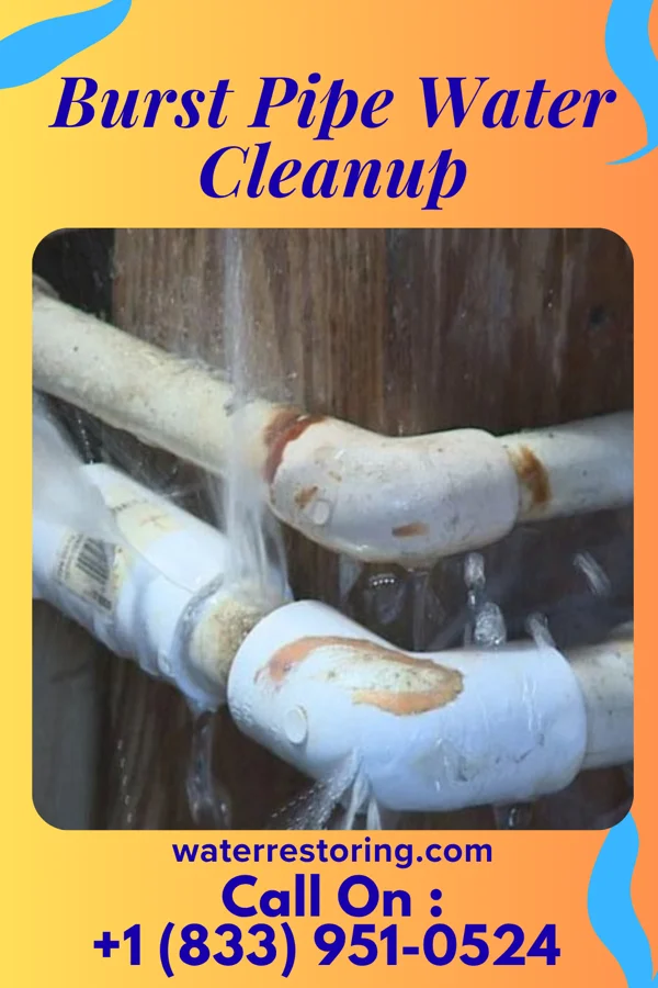 Burst Pipe Water Cleanup in Cadiz, IN