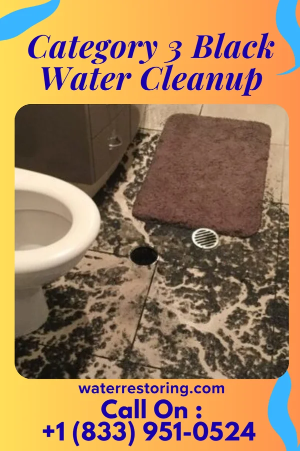 Category 3 Black Water Cleanup in Cadiz, IN