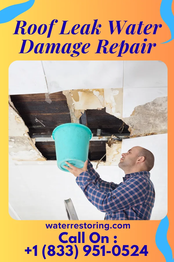 Roof Leak Water Damage Repair in Cadiz, IN