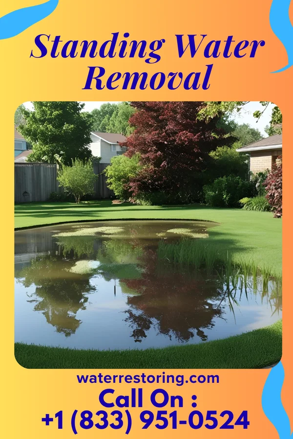 Standing Water Removal in Cadiz, IN